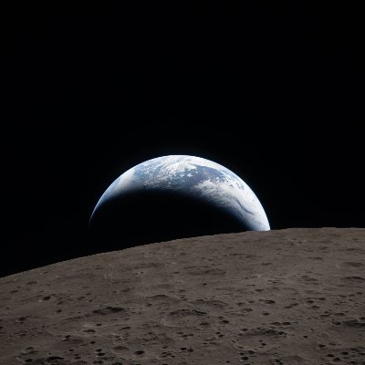 Zella's profile image